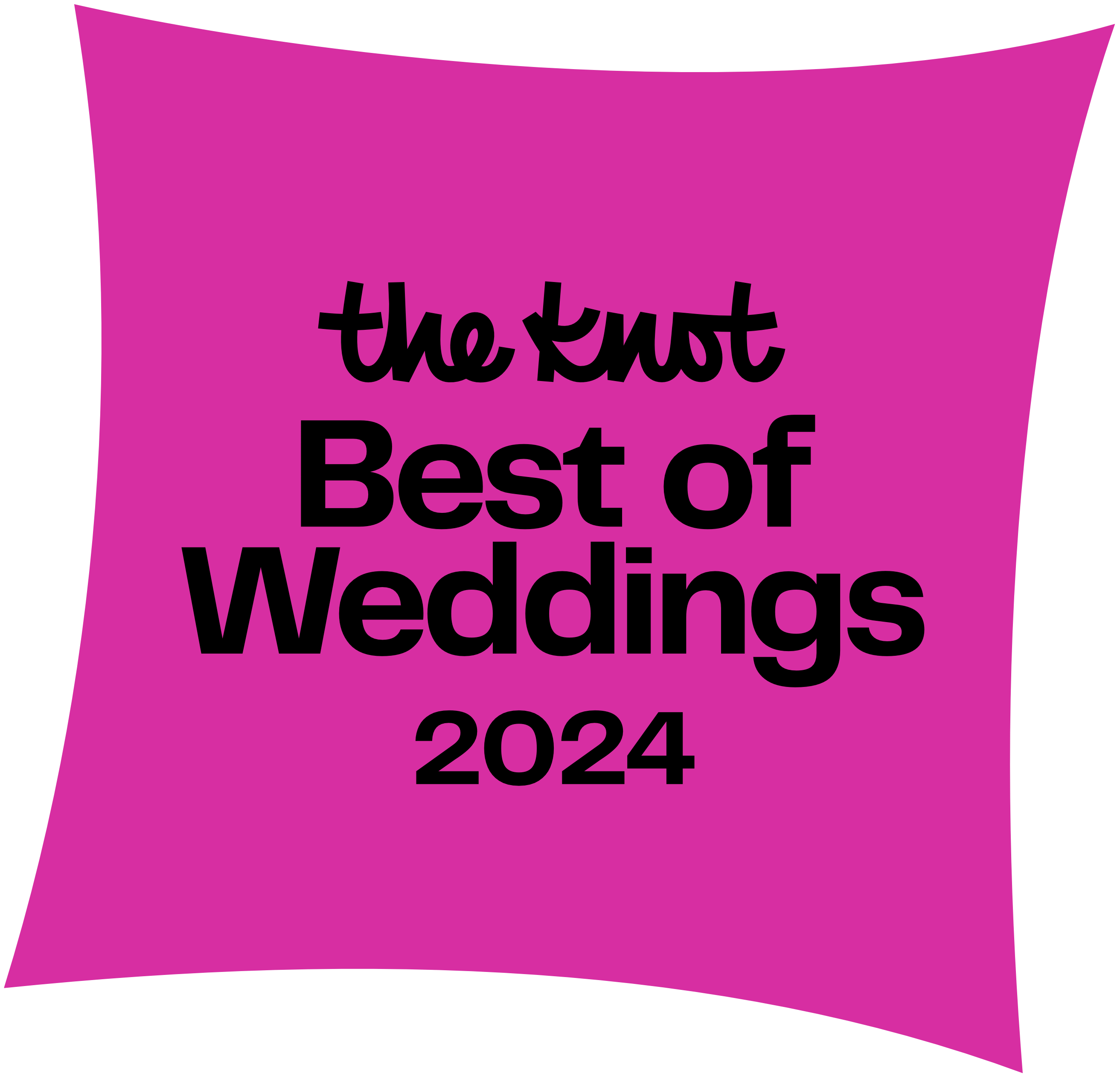TheKnot Best of Weddings 2024